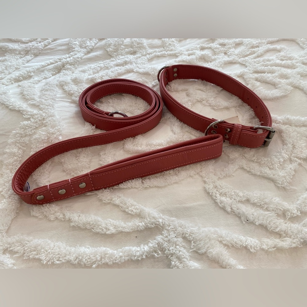Angel Pet supplies genuine leather collar and leash